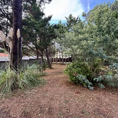 Maison De Pour 9 Sous Les Pins A La Griere, La Tranche-sur-mer, A 450m De La - Fr-1-194-398 Ferienhaus *