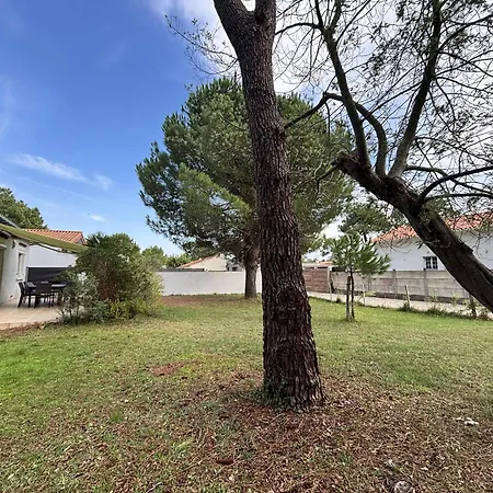 Maison De Pour 9 Sous Les Pins A La Griere, La Tranche-sur-mer, A 450m De La - Fr-1-194-398 La Tranche-sur-Mer